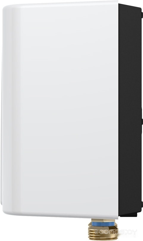 ��������������� Thermex Balance 4500 �  �������� ������� �������