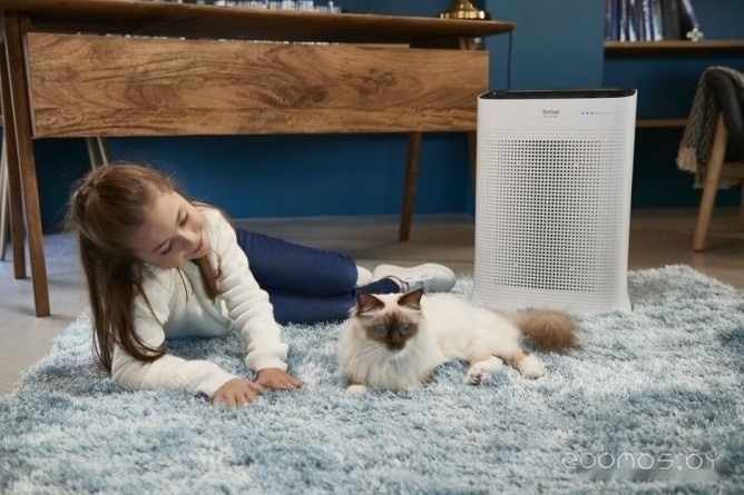 ���������� ������� Tefal Pure Air PT3030F0 �  �������� ������� �������