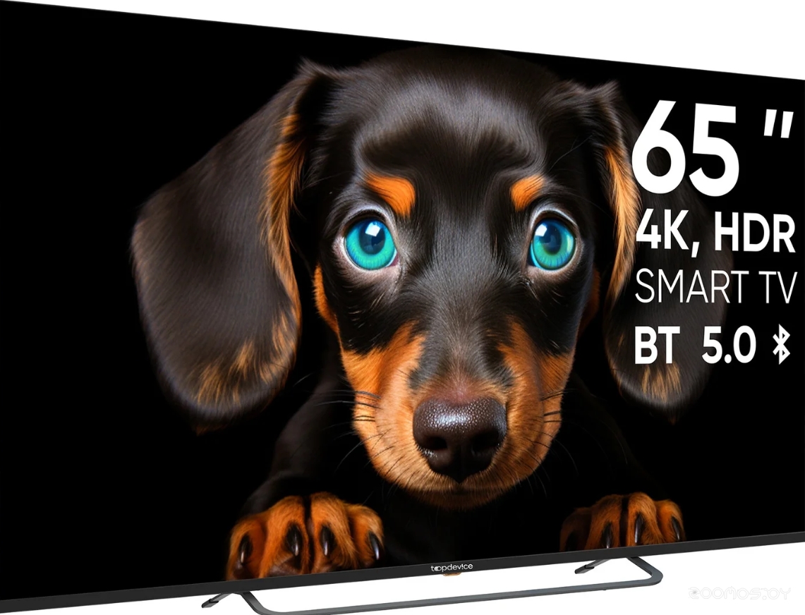 ��������� TopDevice Ultra Neo TDTV65CS06U_BK �  �������� ������� �������