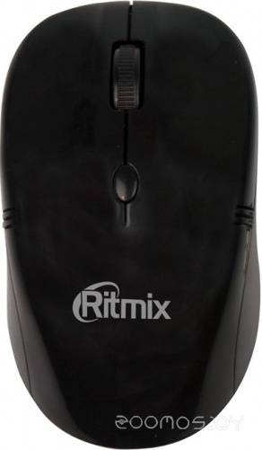  Ritmix RMW-111     