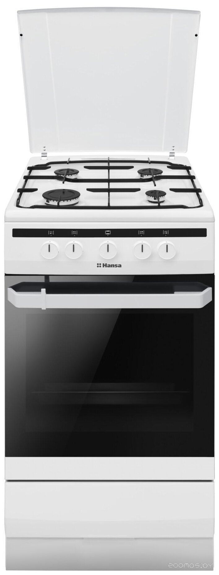 Плита Hansa FCGW510550 в  магазине Терабит Могилев
