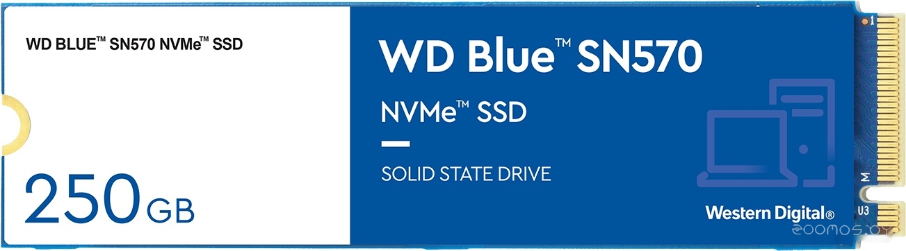 SSD Western Digital Blue SN570 250GB WDS250G3B0C �  �������� ������� �������