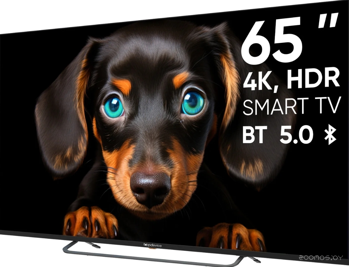 ��������� TopDevice Ultra Neo TDTV65CS06U_BK �  �������� ������� �������