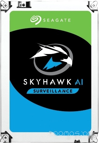   Seagate SkyHawk AI 10TB ST10000VE001     