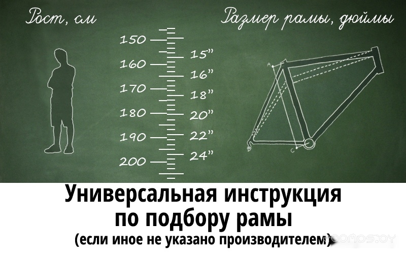  Nasaland 275M031 27.5 .19 2021 (/)     