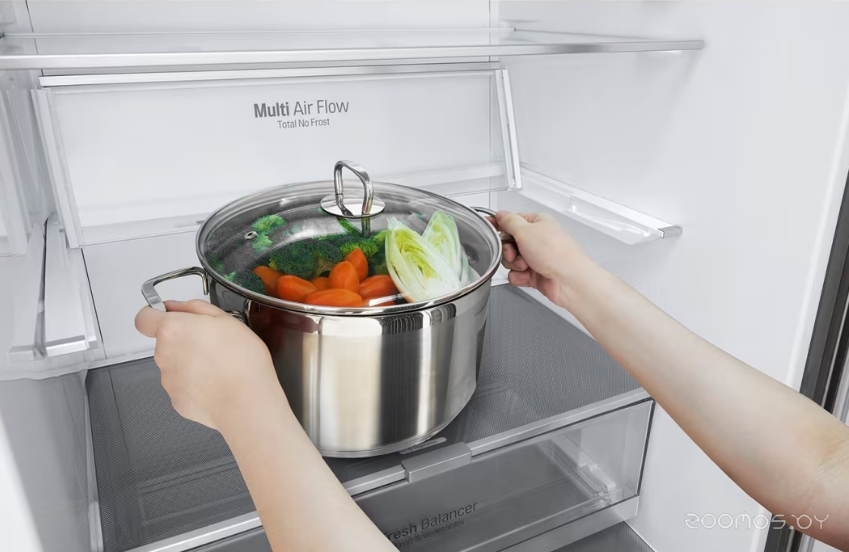 Холодильник LG DoorCooling+ GC-B569PBCM в  магазине Терабит Могилев