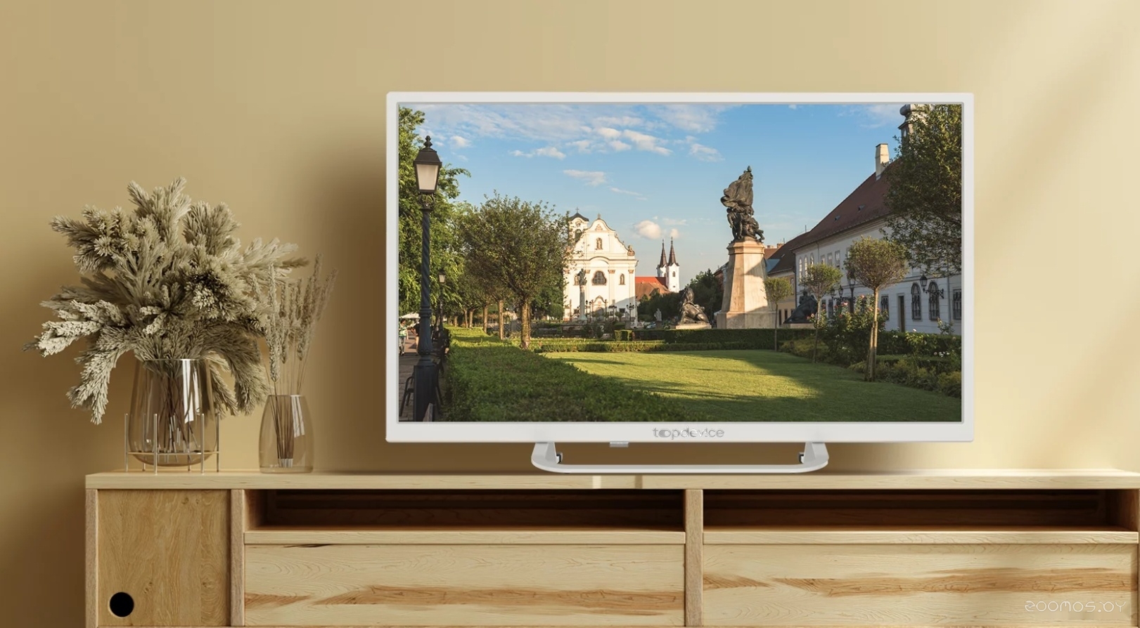 Телевизор TopDevice TDTV24BS02HWE в  магазине Терабит Могилев