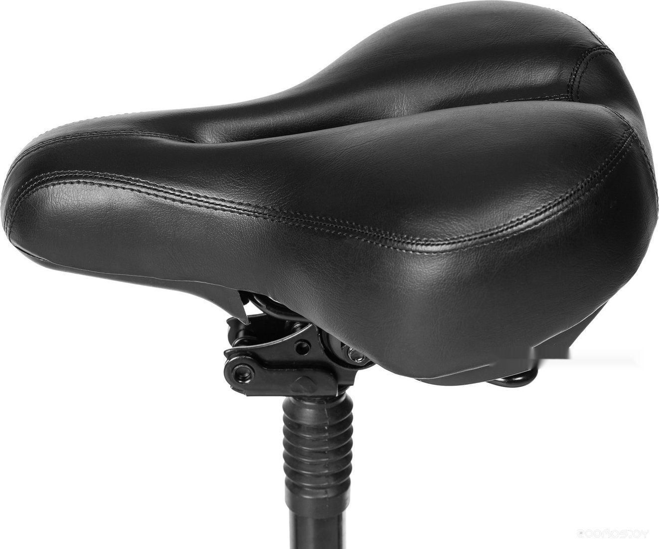  Patriot PL 850 150301106     