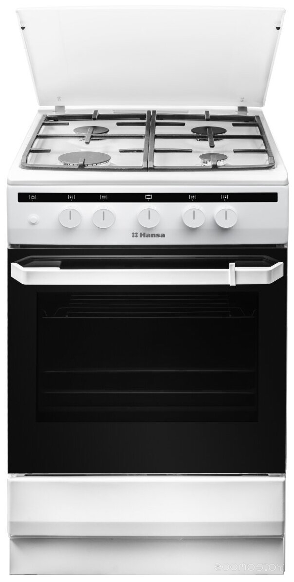 Плита Hansa FCGW510550 в  магазине Терабит Могилев