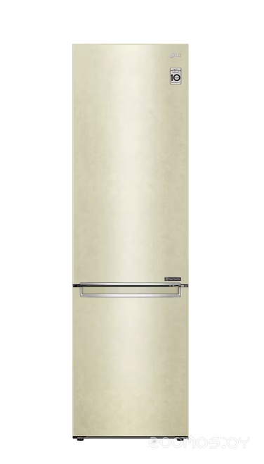 Холодильник LG DoorCooling+ GC-B509SECL в  магазине Терабит Могилев