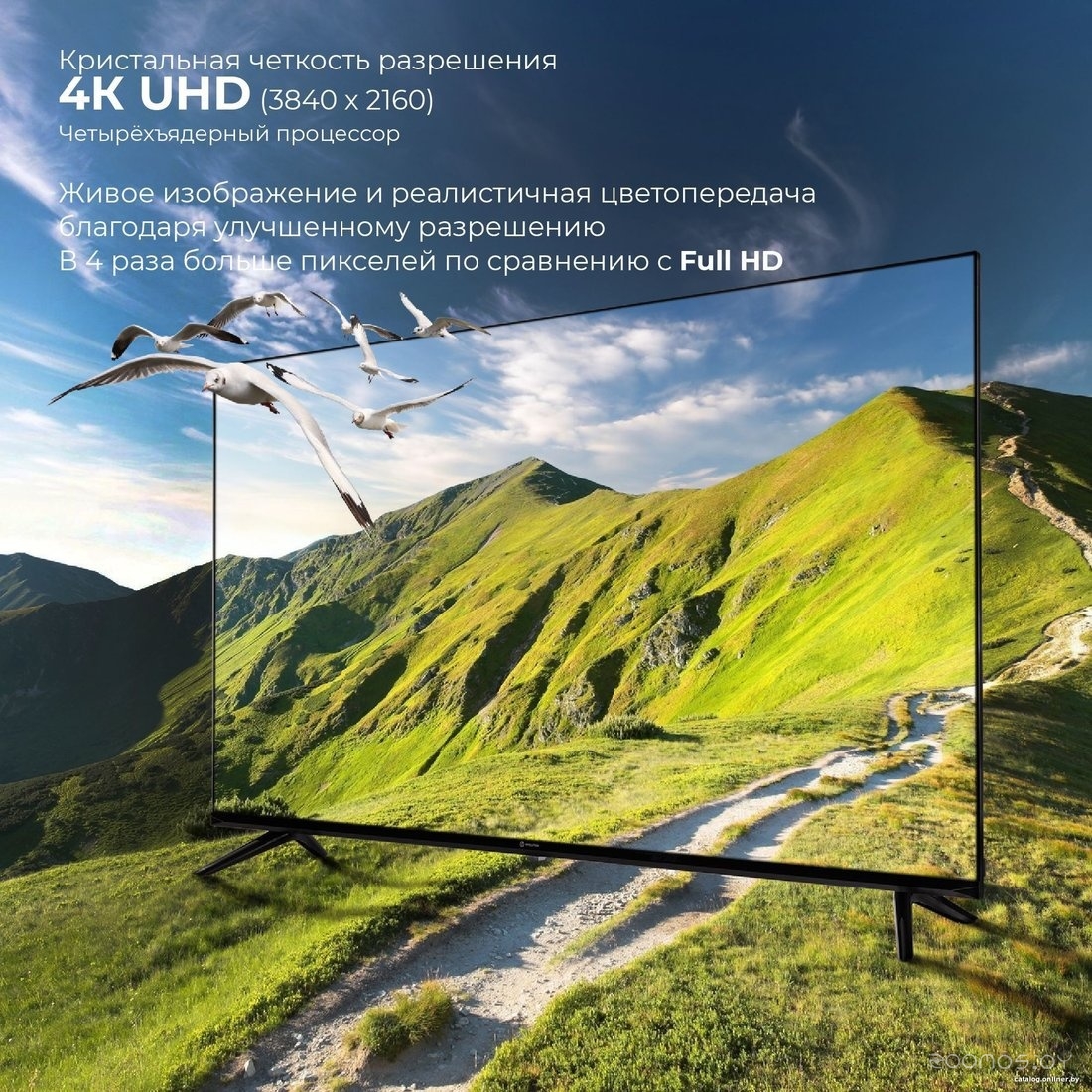 ��������� Evolution WOS43MR1UHD �  �������� ������� �������