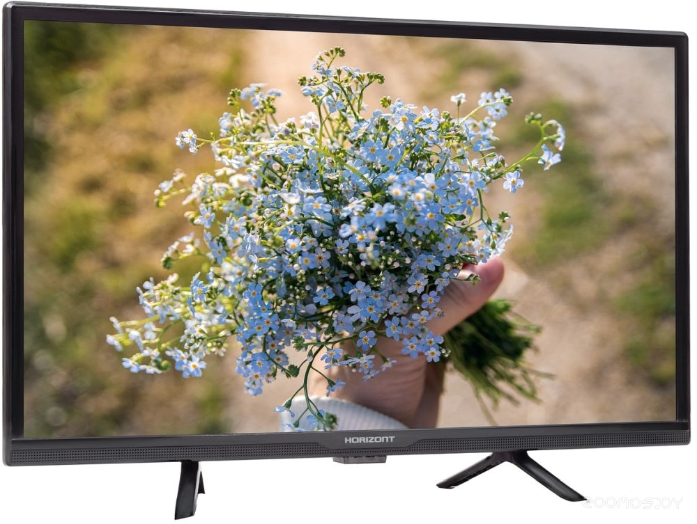 Телевизор Horizont 24LE7011D в  магазине Терабит Могилев
