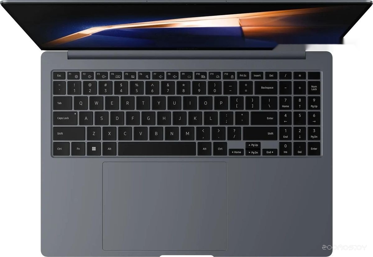 ������� Samsung Galaxy Book4 Pro 16 NP960XGK-LG6IN �  �������� ������� �������