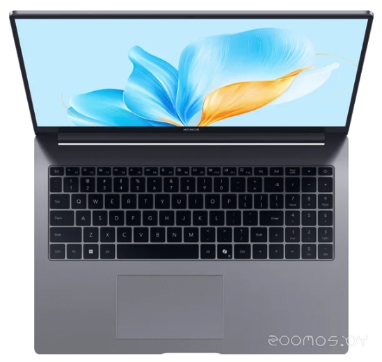 ������� Honor MagicBook X16 2025 BRG-565 5301ALXN �  �������� ������� �������