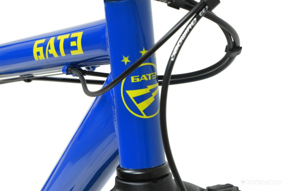  Forward Sporting 29 2.1 Disc  Edition (19, /, 2021)     