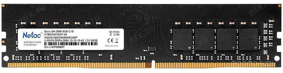 ����������� ������ Netac Basic 8GB DDR4 SODIMM PC4-21300 NTBSD4N26SP-08 �  �������� ������� �������