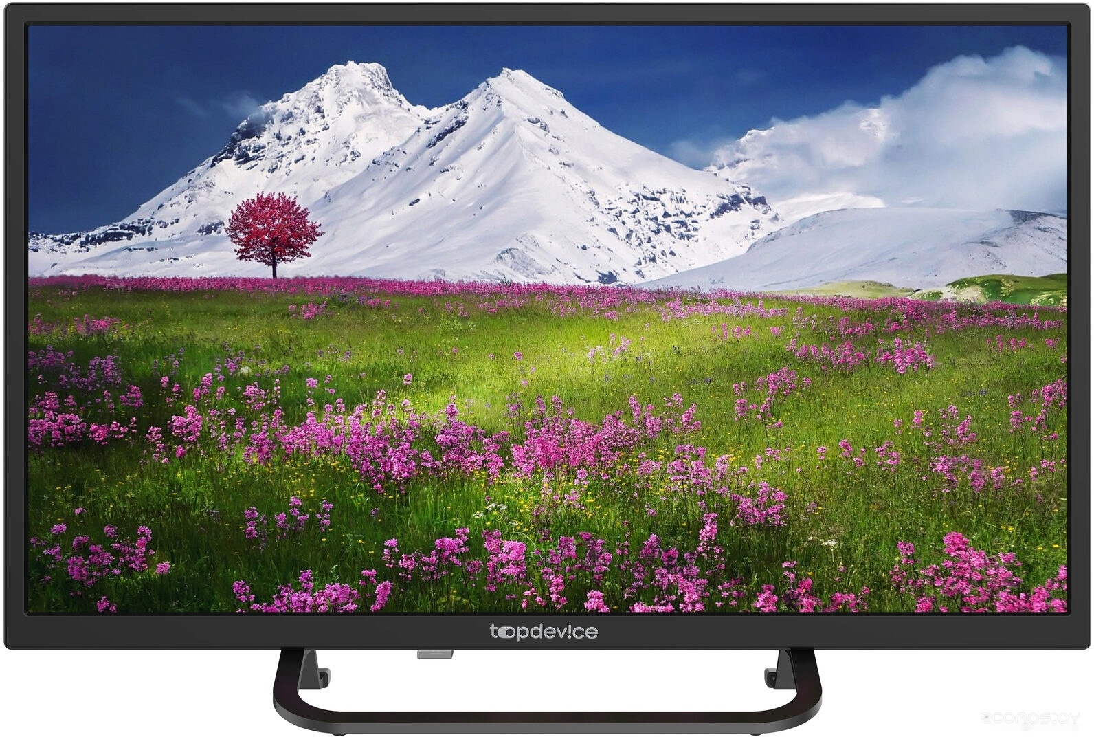 Телевизор TopDevice TDTV24BS02HBK в  магазине Терабит Могилев