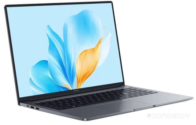 ������� Honor MagicBook X16 2025 BRG-565 5301ALXN �  �������� ������� �������