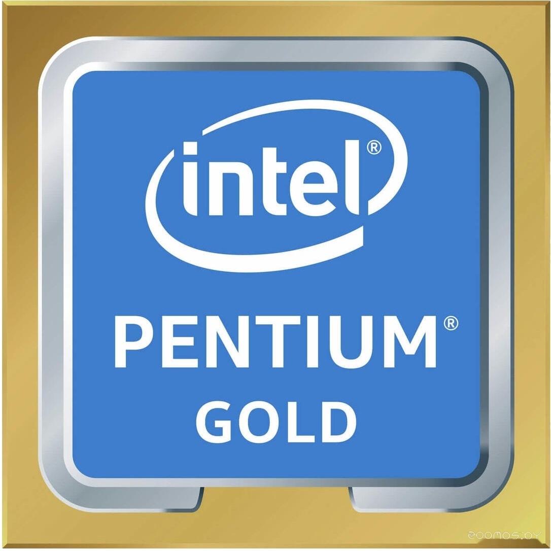  Intel Pentium Gold G6400     