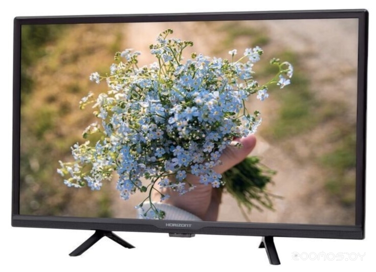  Horizont 24LE5011D     