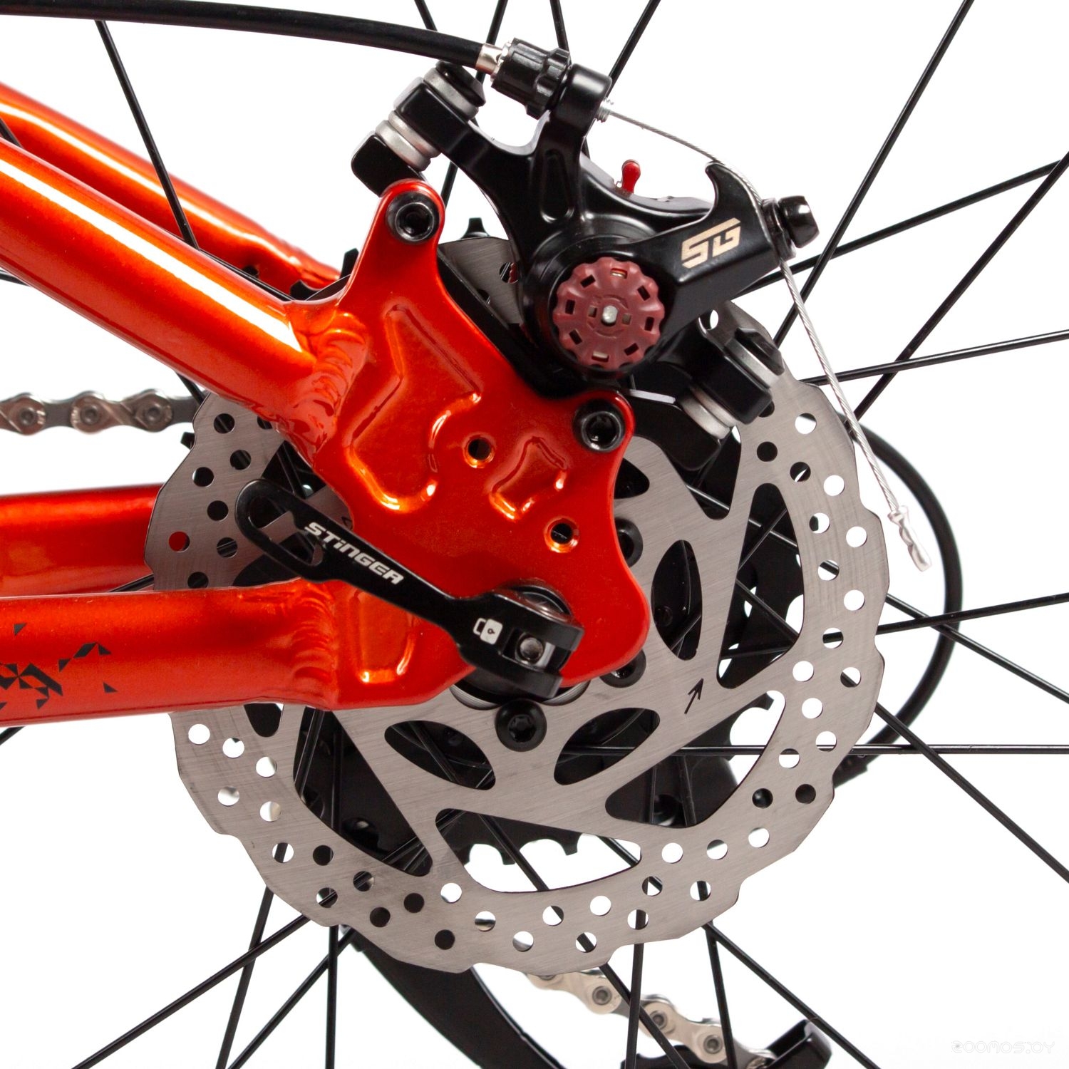 ��������� Stinger Element Jr 24 (���������) �  �������� ������� �������