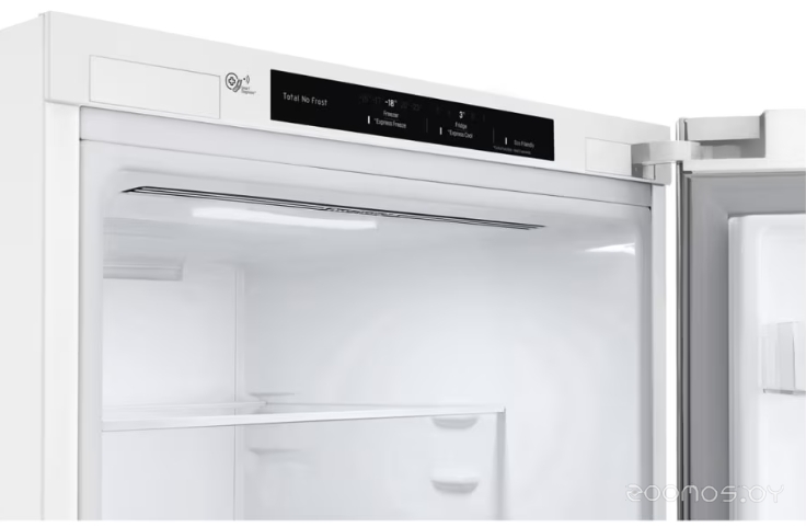 Холодильник LG DoorCooling+ GC-B509SQCL в  магазине Терабит Могилев