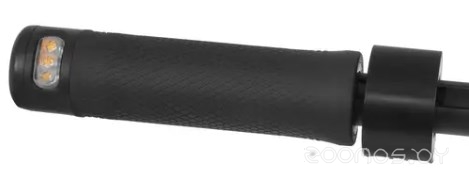  Patriot PL 850 150301106     