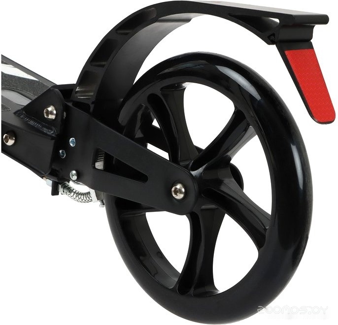 ������������ ������� ������� Graffiti 1738611 (������) �  �������� ������� �������