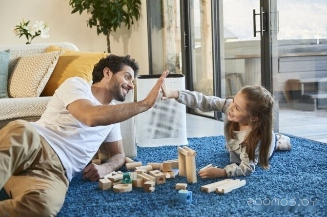 ���������� ������� Tefal Pure Air PT3030F0 �  �������� ������� �������