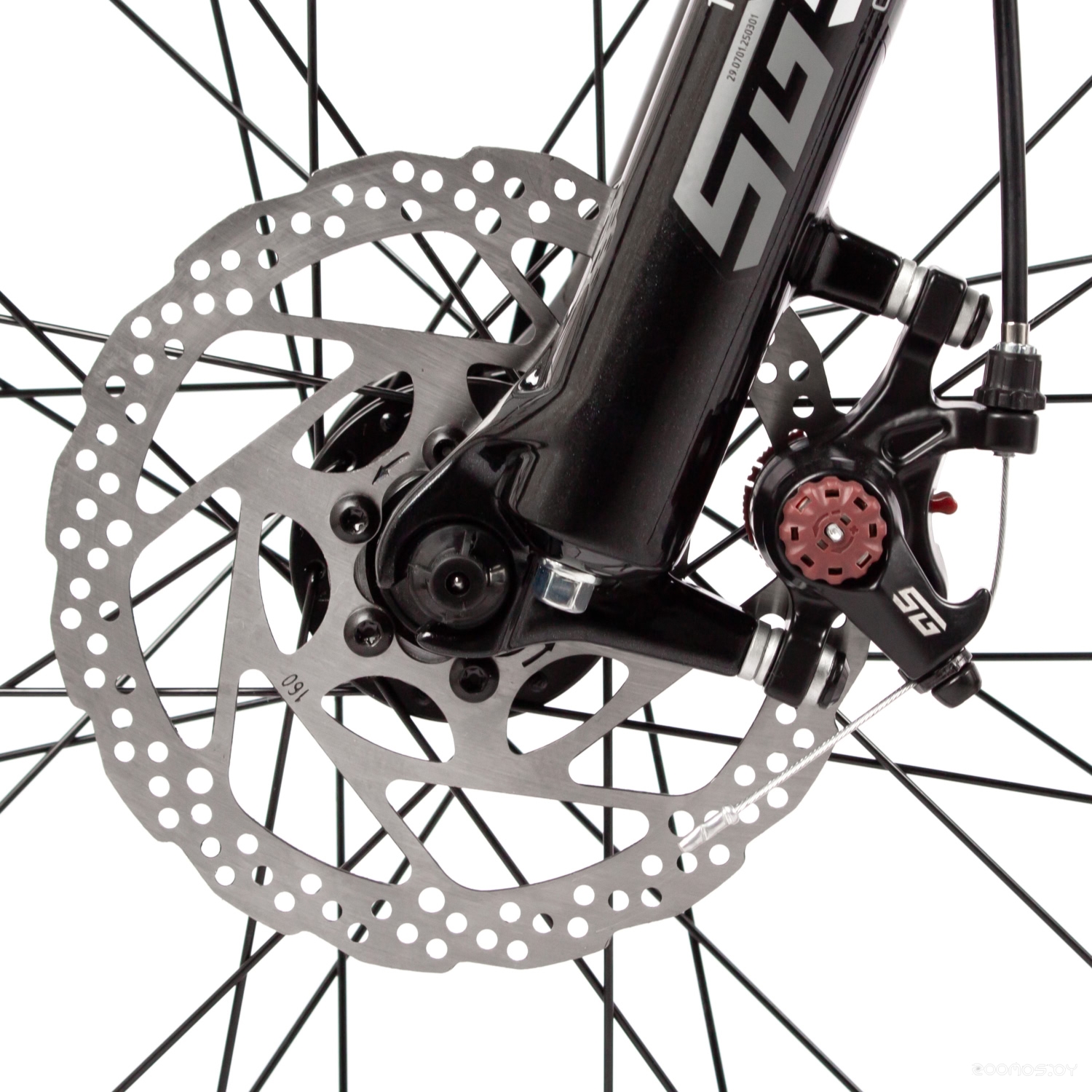 ��������� Stinger Laguna 26 (����������) �  �������� ������� �������