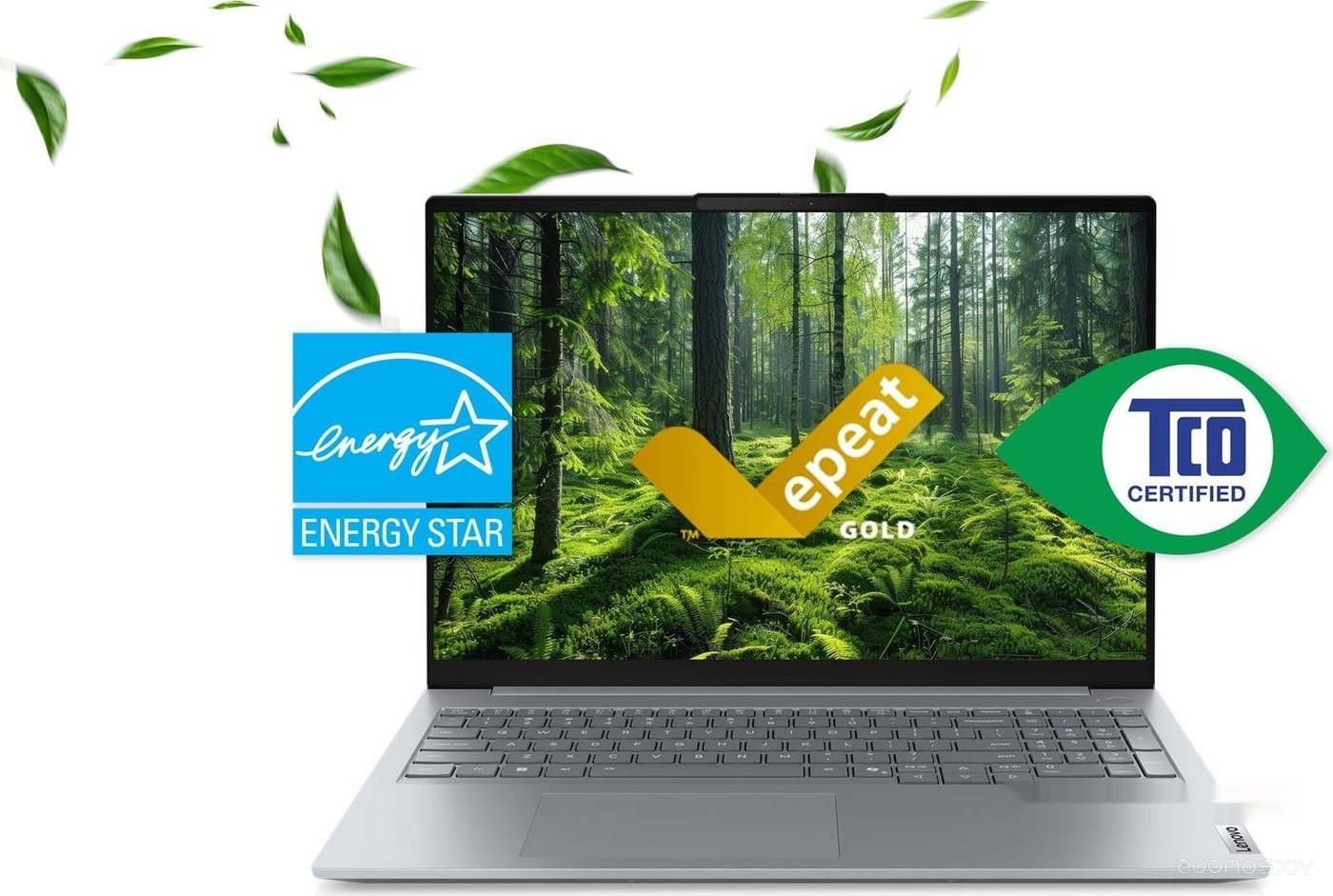������� Lenovo ThinkBook 16 G8 IAL 21SK0088FW �  �������� ������� �������