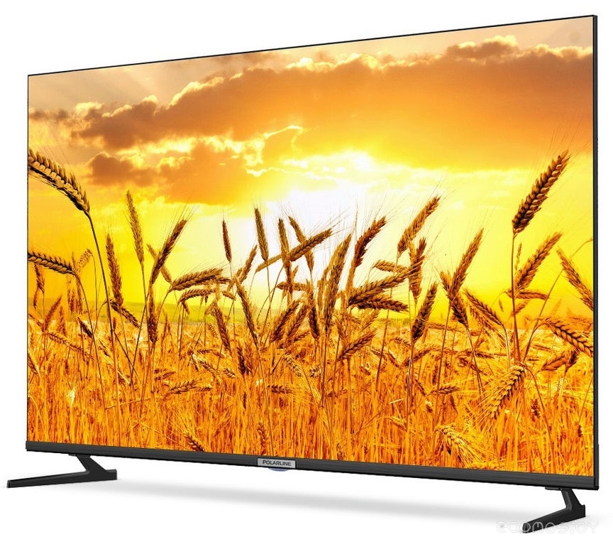 Телевизор Polarline 43PL52STC-SM 43" (2019) в  магазине Терабит Могилев