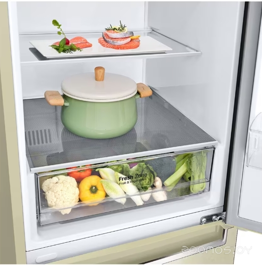 Холодильник LG DoorCooling+ GC-B459SECL в  магазине Терабит Могилев