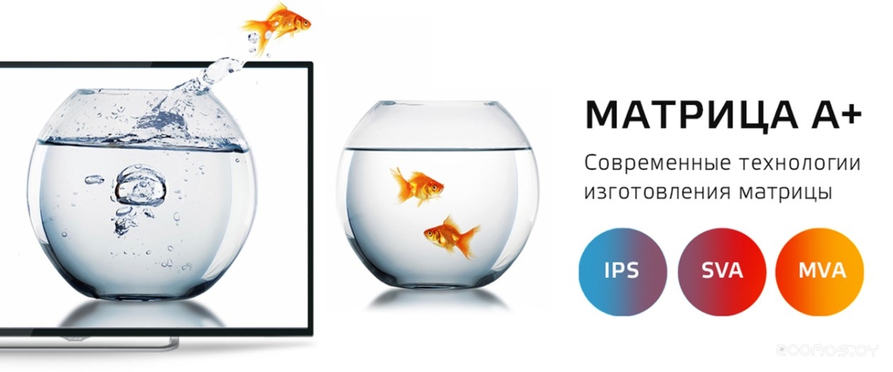 ��������� Polar 42PL11TC-SM �  �������� ������� �������