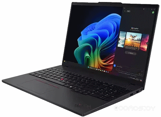 ������� Lenovo ThinkPad T16 Gen 4 AMD 21QN004BFW �  �������� ������� �������