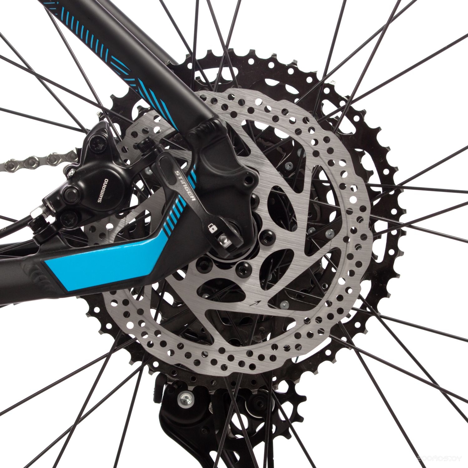 ��������� Stinger Reload Evo 29 (18, ������, 2024) �  �������� ������� �������