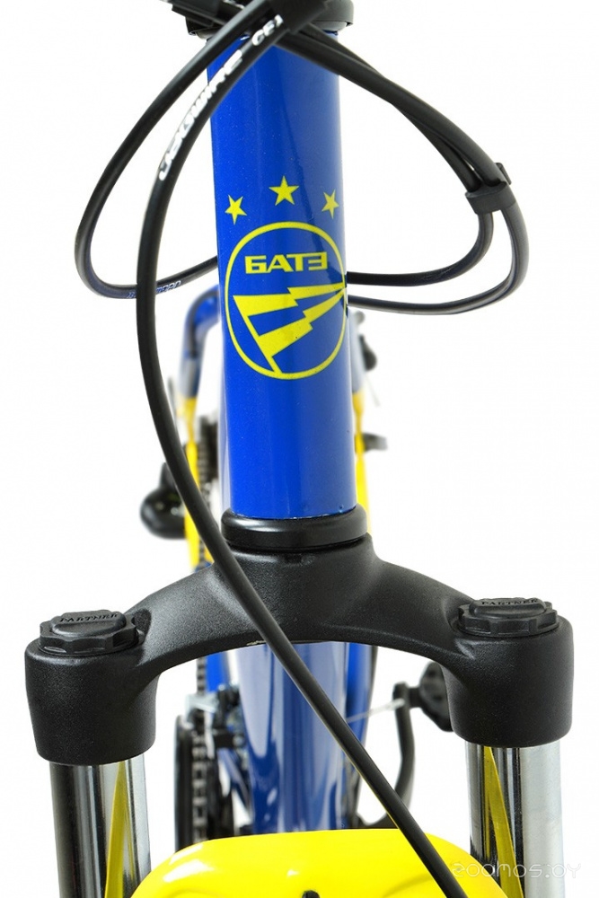  Forward Sporting 29 2.1 Disc  Edition (19, /, 2021)     