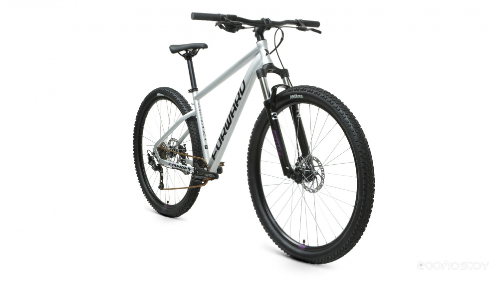 Велосипед Forward Sporting 29 XX D р.17 2022 (серебристый/фиолетовый) в  магазине Терабит Могилев