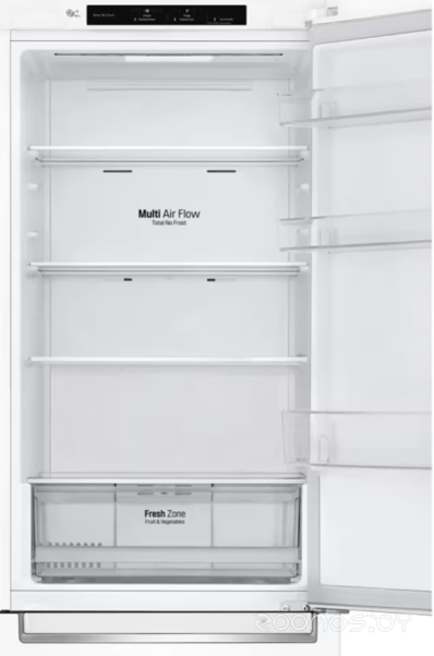 Холодильник LG DoorCooling+ GC-B459SQCL в  магазине Терабит Могилев