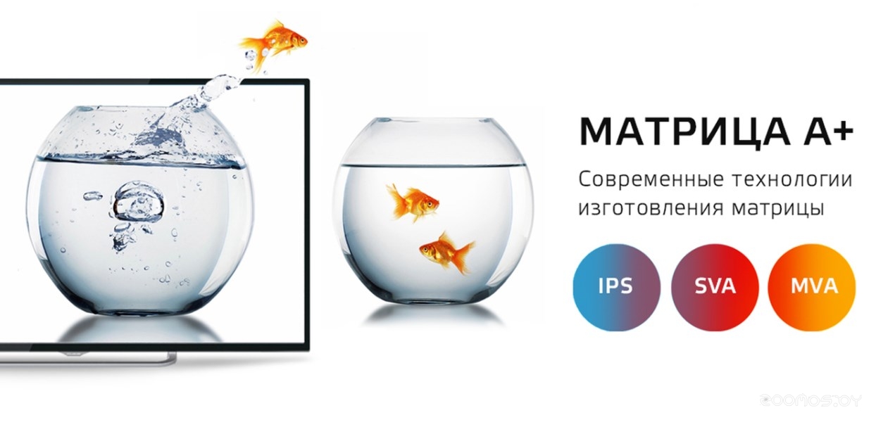 ��������� Polarline 32PL13TC-SM �  �������� ������� �������