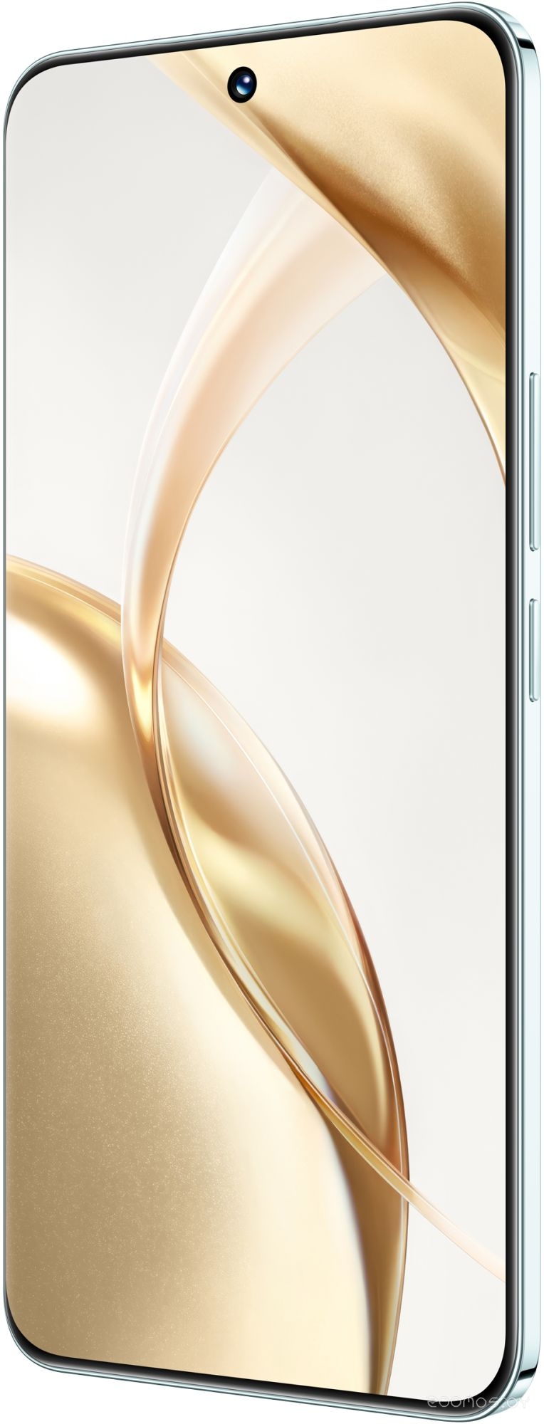 �������� Honor 200 12GB/512GB ������������� ������ (���������-�������) �  �������� ������� �������