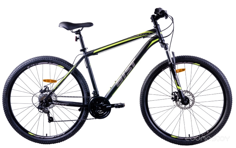 Aist Quest Disc 29 (21.5, /, 2021)     