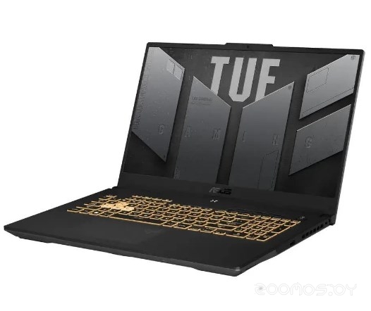 ������� ������� Asus TUF Gaming F17 FX707VU-HX239 �  �������� ������� �������