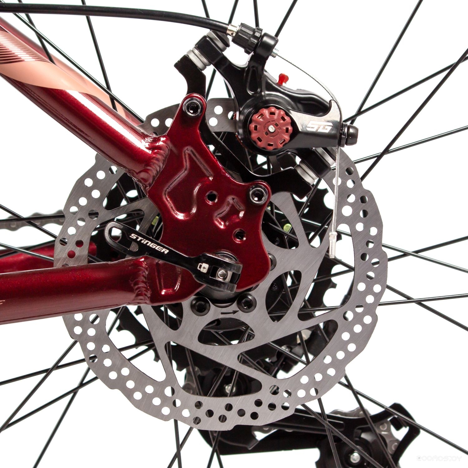 ��������� Stinger Laguna 29 (L, �������) �  �������� ������� �������