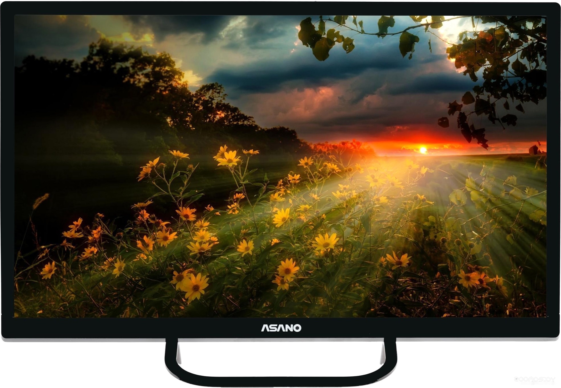 ��������� Asano 32LH1110T �  �������� ������� �������