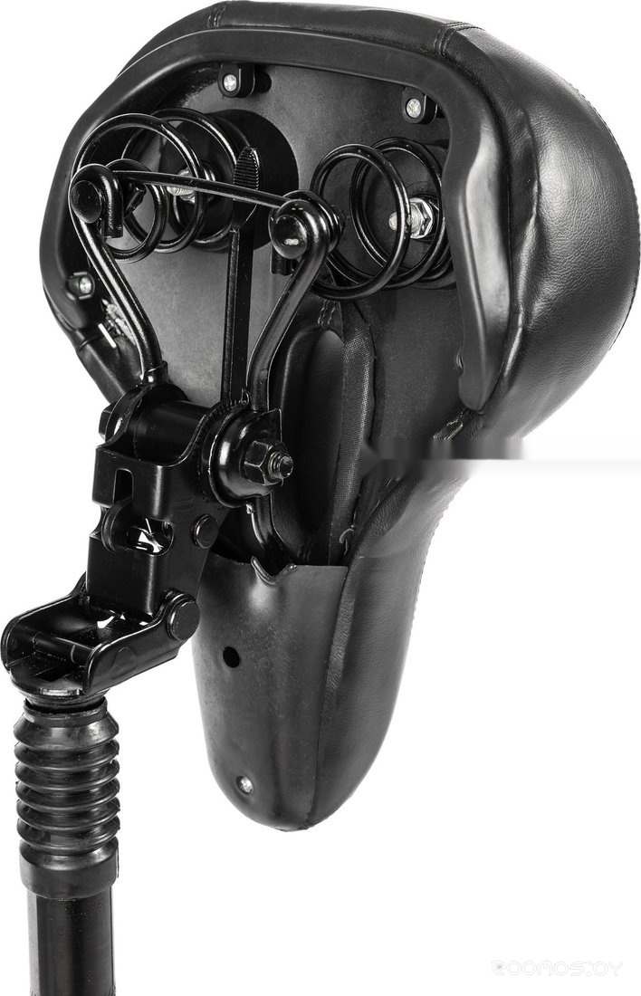  Patriot PL 850 150301106     