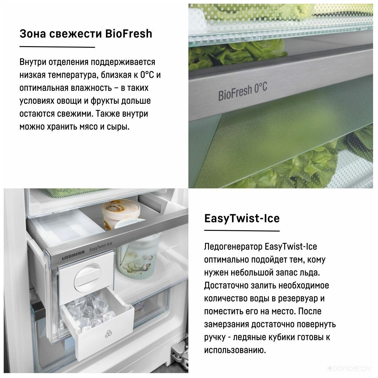 ����������� � ������������� Liebherr CBNd 5223 Plus BioFresh �  �������� ������� �������