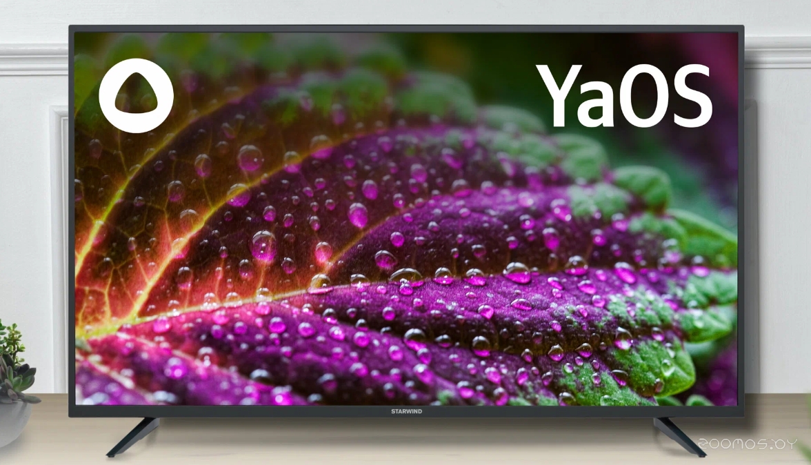 ��������� StarWind SW-LED43UG403 (������) �  �������� ������� �������