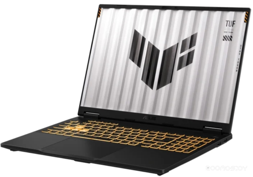 ������� ������� Asus TUF Gaming F16 FX608JPR-RV077 �  �������� ������� �������