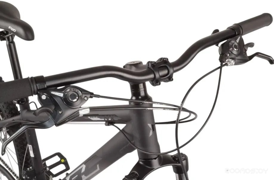��������� Forward AL NX 29 (19, ������ �������/�����������, 2025) �  �������� ������� �������